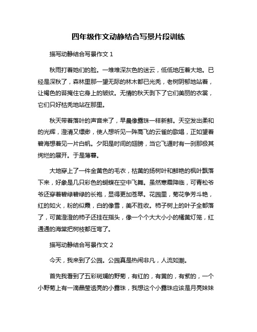 四年级作文动静结合写景片段训练