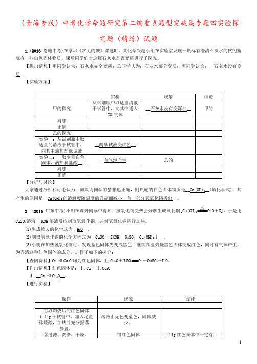 (青海专版)中考化学命题研究第二编重点题型突破篇专题四实验探究题(精练)试题