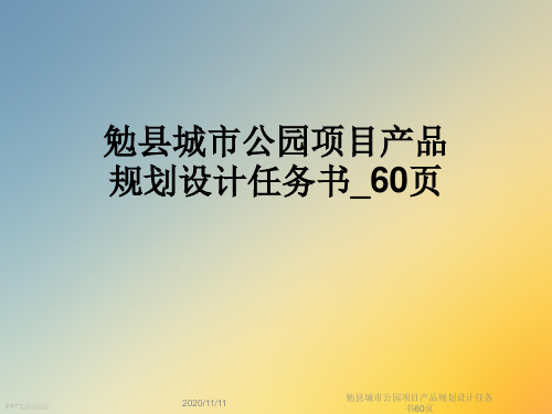 勉县城市公园项目产品规划设计任务书60页