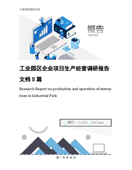 工业园区企业项目生产经营调研报告文档5篇