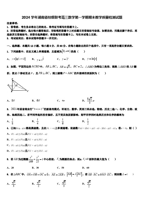 2024学年湖南省校级联考高三数学第一学期期末教学质量检测试题含解析