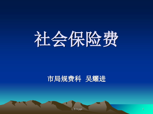 《社会保险费》PPT课件