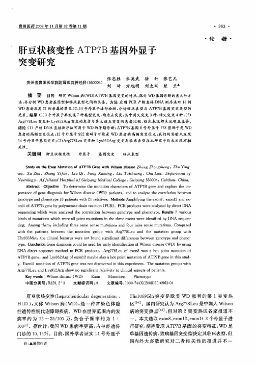 肝豆状核变性ATP7B基因外显子突变研究