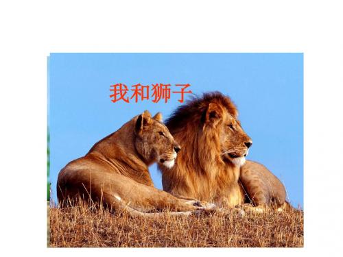 四年级语文上册《我和狮子》课件2沪教版