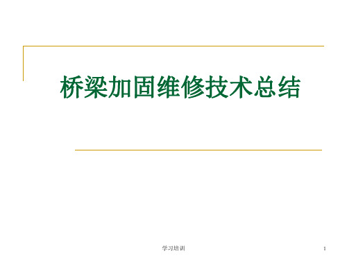 桥梁加固维修技术总结(培训学习)