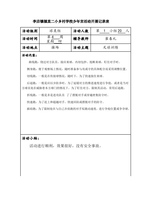 小学乡村学校少年宫活动记录(样本)