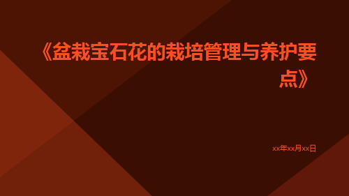 盆栽宝石花的栽培管理与养护要点