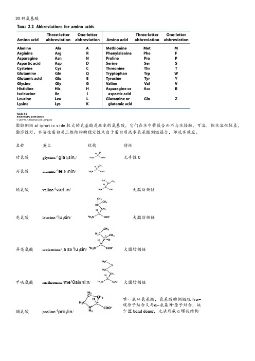 20种天然氨基酸中英对应及结构特性整理