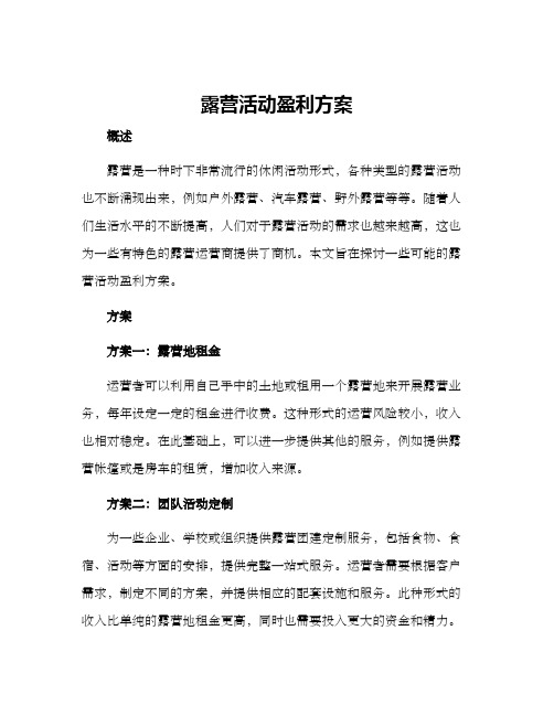 露营活动盈利方案