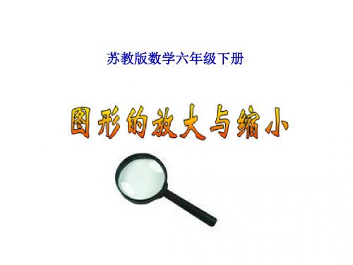 六年级数学下册 图形的放大与缩小 10课件 苏教版