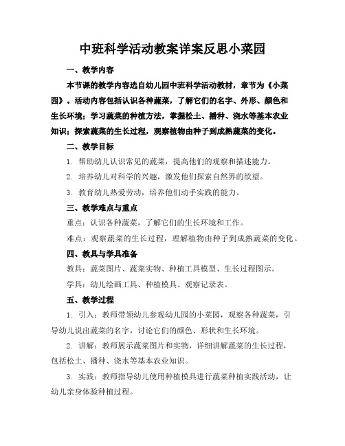 中班科学活动教案详案反思小菜园