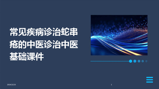 2024年度常见疾病诊治蛇串疮的中医诊治中医基础课件