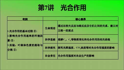 第讲光合作用高考一轮复习生物优秀课件