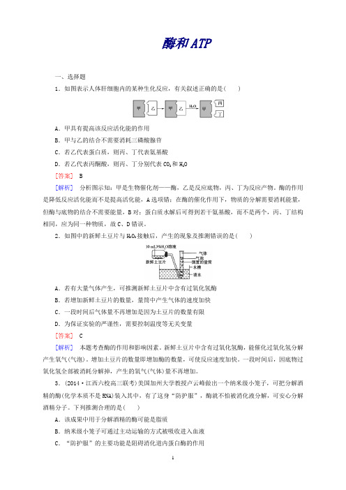 高三生物二轮复习专题2第1讲酶和ATP