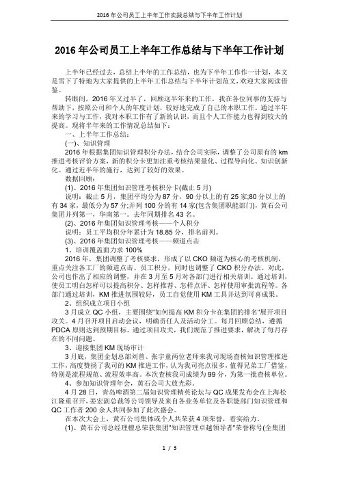 2016年公司员工上半年工作实践总结与下半年工作计划