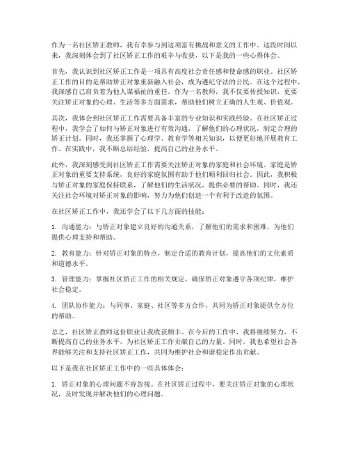 社区矫正教师心得体会总结