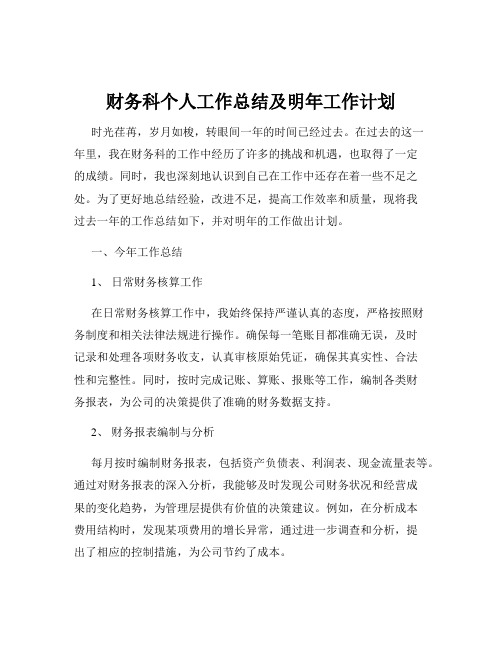 财务科个人工作总结及明年工作计划