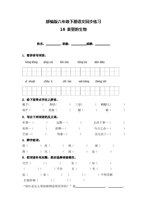 六年级下册语文试卷-《表里的生物》一课一练(含答案)人教部编版