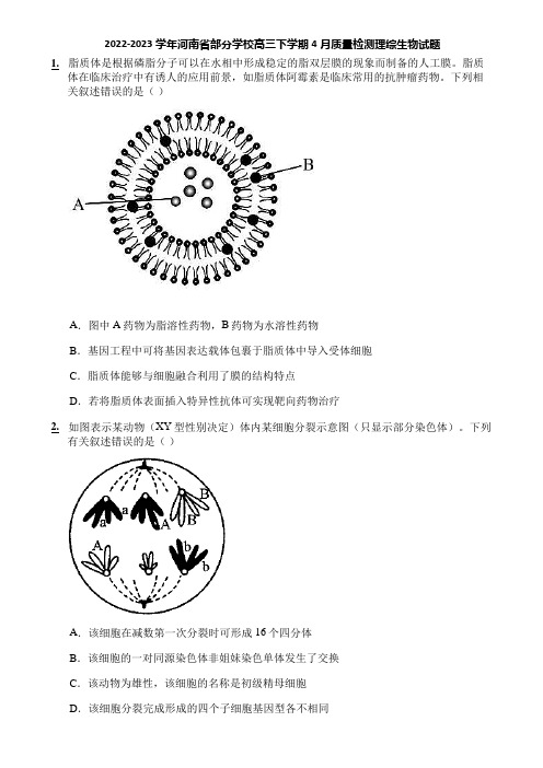 2022-2023学年河南省部分学校高三下学期4月质量检测理综生物试题