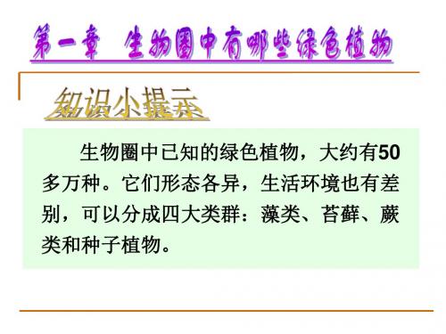 第一节藻类、苔藓和蕨类植物