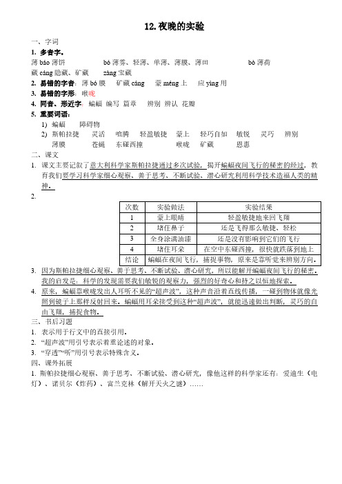 六下12夜晚的实验