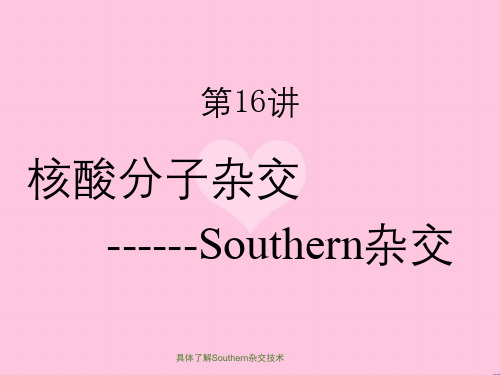 具体了解Southern杂交技术