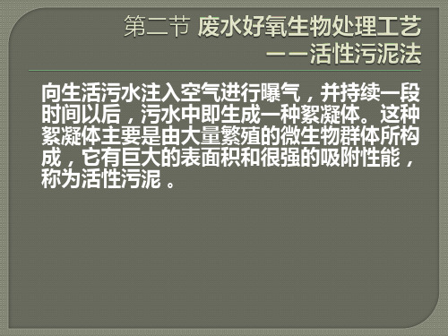 水污染控制工程废水好氧生物处理工艺——活性污泥法