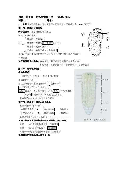 苏教版生物七上第五章知识点