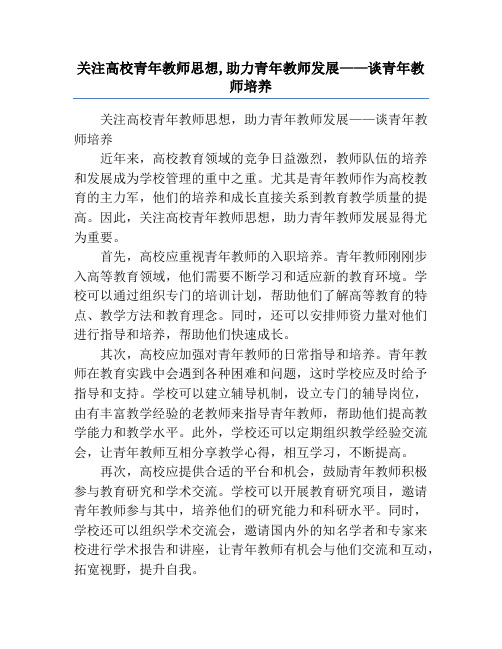 关注高校青年教师思想,助力青年教师发展——谈青年教师培养