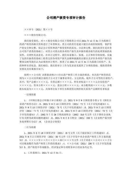 公司清产核资专项审计报告