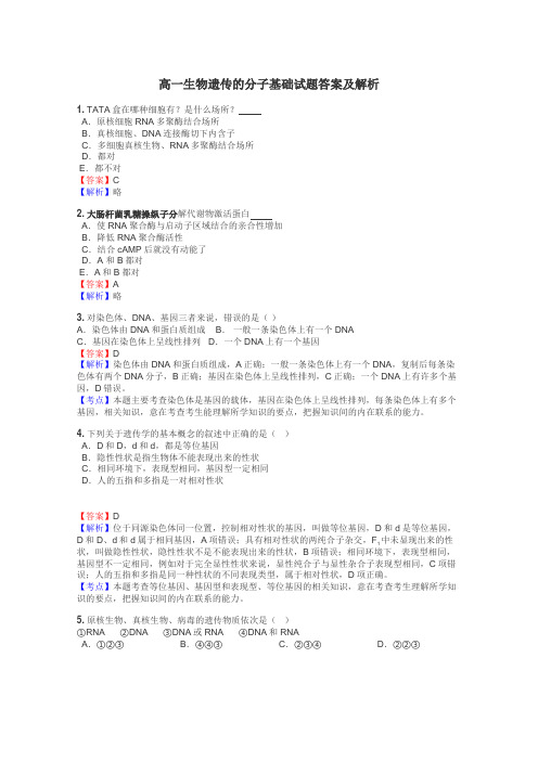 高一生物遗传的分子基础试题答案及解析
