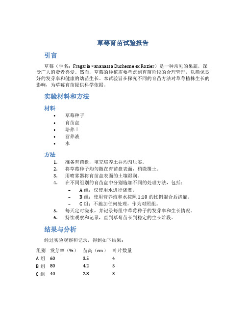 草莓育苗试验报告