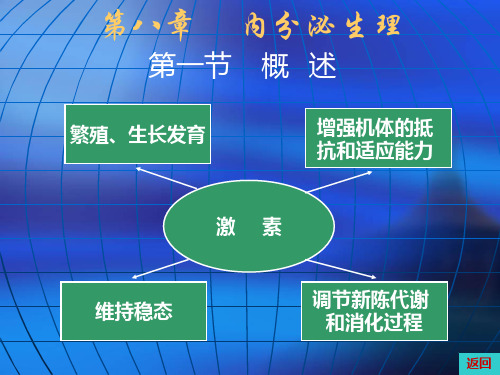 第八章内分泌生理ppt课件