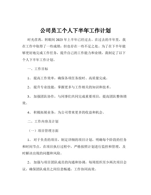 公司员工个人下半年工作计划