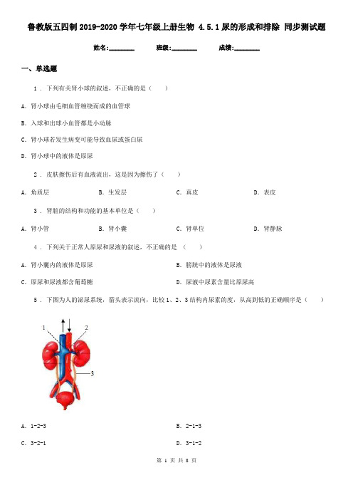 鲁教版五四制2019-2020学年七年级上册生物 4.5.1尿的形成和排除 同步测试题