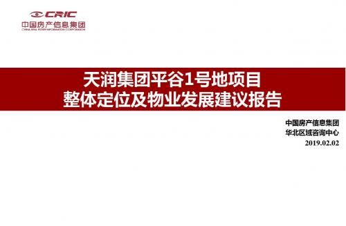 20190202天润平谷项目整体定位及物业发展建议最终版