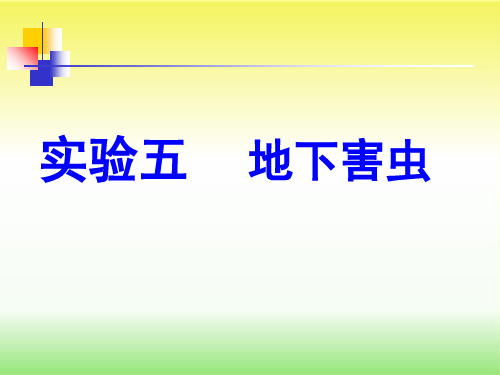 地下害虫(农业昆虫实验课)
