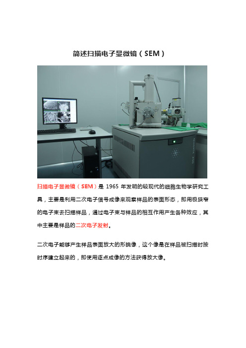 简述扫描电子显微镜(SEM)