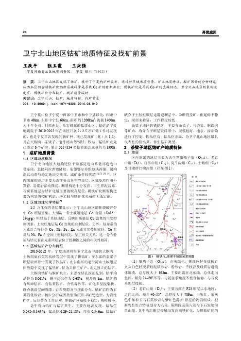 卫宁北山地区钴矿地质特征及找矿前景