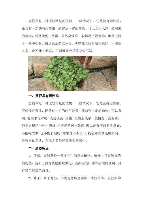 金钱草是否具有毒性吗,金钱草的形态特点