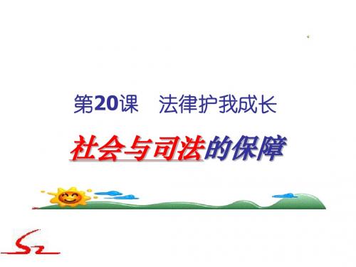 4.2.10 法律护我成长 课件 (人教版七年级下册)