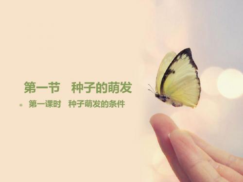 高中生物种子的萌发PPT精选课件28 人教版