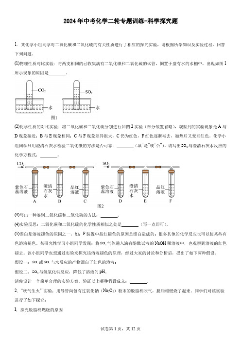 2024年中考化学二轮专题训练---科学探究题