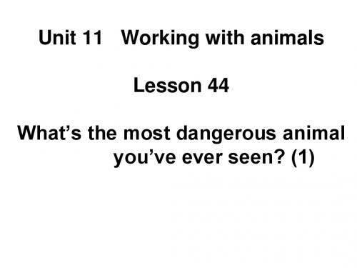 北师大版初二英语Unit 11   Working with animals