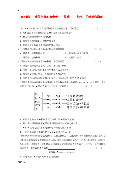 2012届高考生物一轮复习 2.3遗传信息的携带者――核酸课时练 新人教版必修1