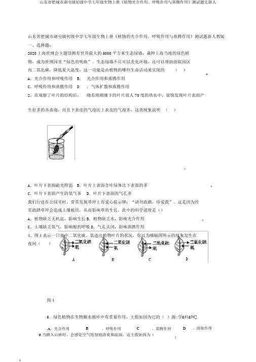 山东省肥城市湖屯镇初级中学七年级生物上册《植物光合作用、呼吸作用与蒸腾作用》测试题无新人