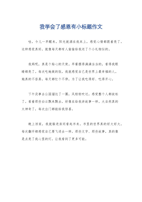 我学会了感恩有小标题作文