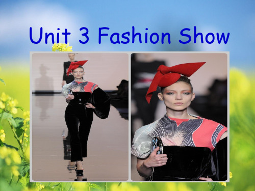 英语拓展模块unit 3《fashion》ppt课件(2)