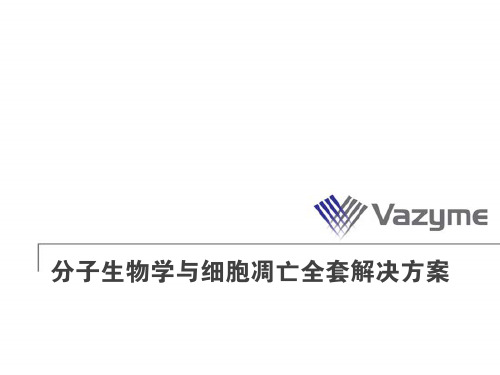 Vazyme-分子生物学与细胞生物学全套解决方案