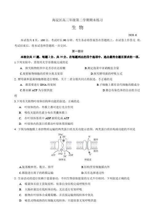 北京市海淀区2020届高三下学期6月二模考试生物试题(含答案)